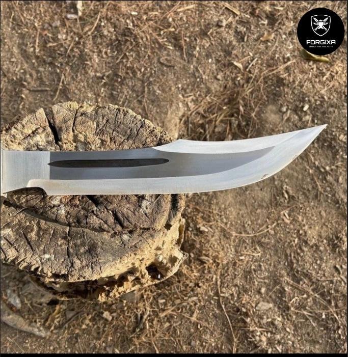 WhatsApp Image 2026-02-26 at 9.32.25 PM (2)